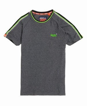 Superdry Orange Label Tipped Sports Stripe Férfi Pólók Piros/Szürke | FHPNQ6983